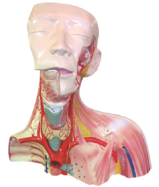 4c5a0136-bfd3-44d1-a102-d746bfb51461.png