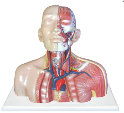 d33aaf1c-004a-40df-abe7-d4aaa06efb26.png
