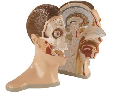 0e476f1c-63f0-4a40-b32c-4f91f4bf6523.png