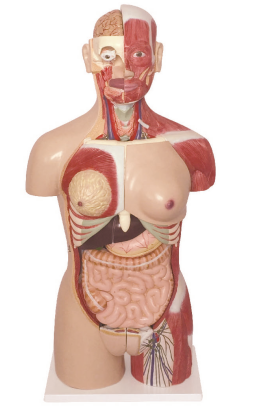 b5a6c380-a1c3-451c-aea9-7ebc5d1dd25c.png