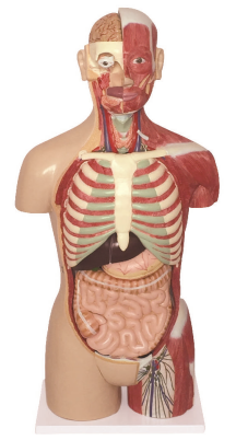 4baf1a67-f608-4d01-a65d-4b41d7e4b144.png