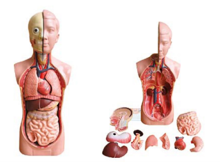 324a6852-41aa-4eae-a483-2e9285db3d75.png