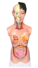 20d5cbbe-a56f-4f99-93fd-554b7619ca4d.png