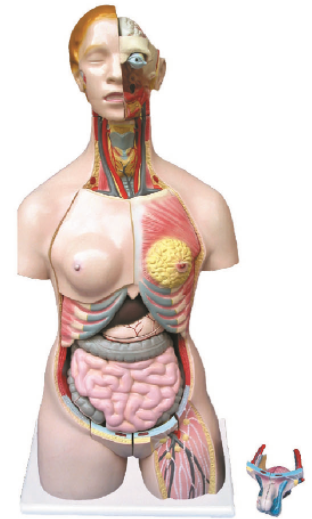 521803e6-6ea9-4ca2-9709-380e3a3aa38a.png