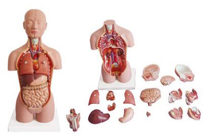 a88e6492-6d36-4956-accf-bc3f27efd421.png