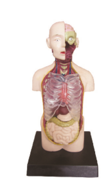 c27a30e1-c82e-495d-b82f-519b9c8eb6f6.png