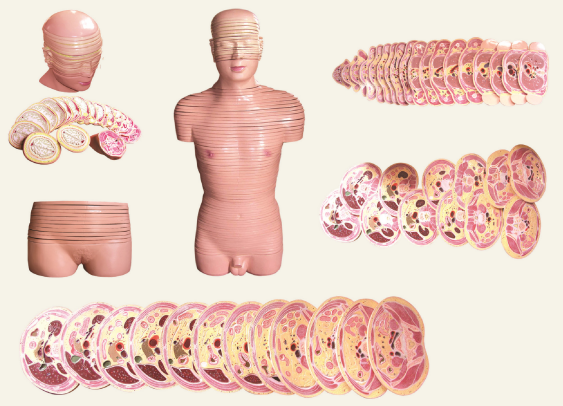 170a7199-be99-4bf8-a65d-babb17ea456e.png