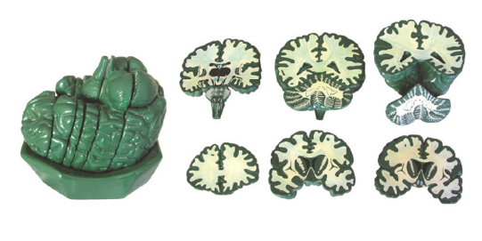 e81687a4-5508-410e-8325-a1f1f21aa7df.png