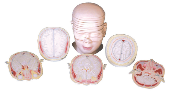 4006e857-73d4-47d8-aa61-9a230b9ebd71.png