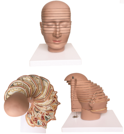 3647d8f8-8507-4172-a98a-aa09186271e5.png