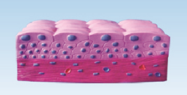 89c22503-4264-49e2-98f8-4708a8aaac10.png