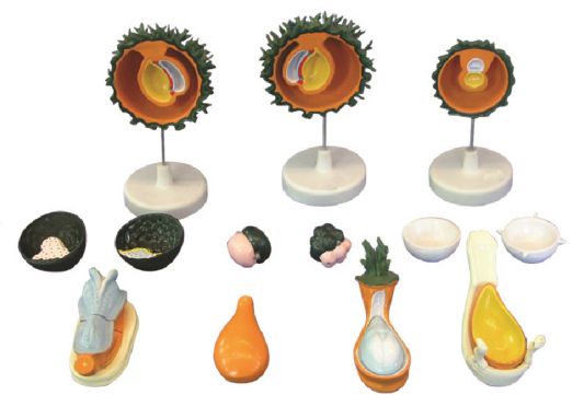 5ee3464a-4b1a-4c9a-ace1-8307a7b6490d.png