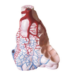 84a0bf72-e021-4ae2-93ae-4a2c2985c978.png
