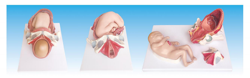 bdc4cde3-387f-496b-ad32-34992d1a3741.png