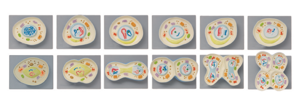 aee1e547-0487-40d2-8246-d9f32f0bfa0a.png