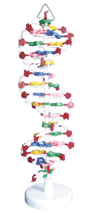 c1761cd9-b939-4a16-932c-c690a19d6d51.png