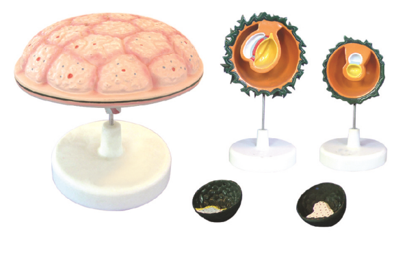 e15c5542-6d86-4b79-b9da-73df0030cedf.png