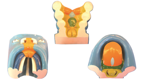 4e01e689-87c0-42ec-902b-34e8cd268285.png