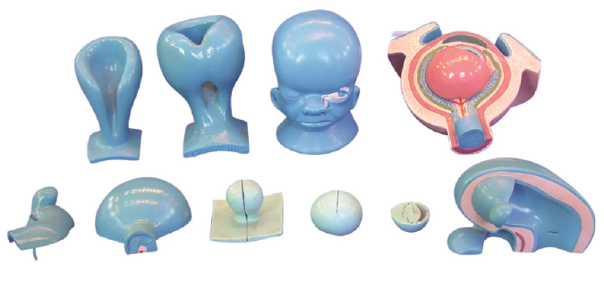 0c346341-42ec-41f2-9f3e-2da3e3ca7550.png