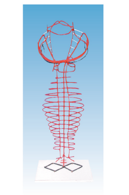 eedb79ab-52d8-4796-be09-f8f46c1e2a47.png