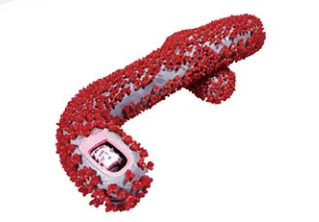 eb1cf618-7b44-4daa-a1ce-62e2516408ac.png