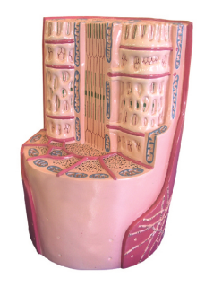 b7fa9315-0312-466d-a072-cb1de4820d89.png