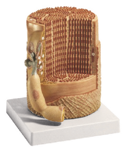 4afdef7d-b4b3-480d-b8b3-12bb5e0ed393.png