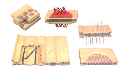 dbe377ff-f5aa-426f-874e-95f68a2d323f.png