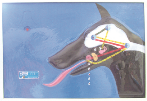 a2475027-3cac-4ec4-a315-f236829ab02c.png