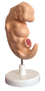 d7ef13fc-e57a-4809-807b-c5e57b3b5216.png
