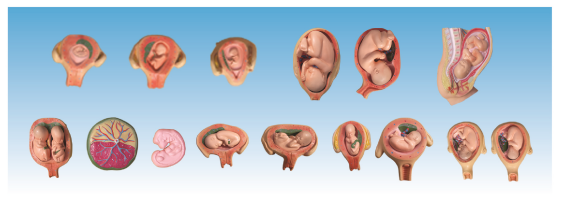 7fc2601c-2467-4f80-bafd-ce39d12fd06f.png