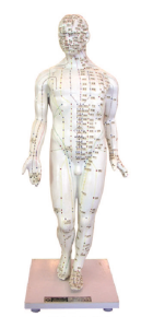 a3d55239-e795-4f68-8810-6334e8fe4488.png