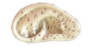803e6084-c189-4395-be04-63d703d6f322.png