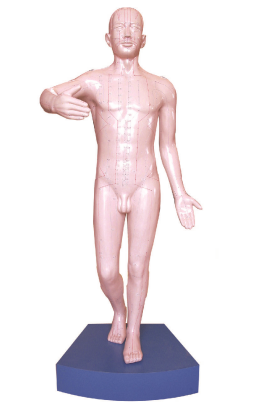 61d6a517-c808-4b57-9a3b-c03ebd7ae045.png