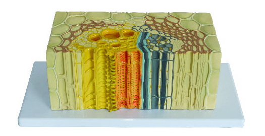 f3ed96a9-c23f-40d3-91aa-bd3220f92e14.png