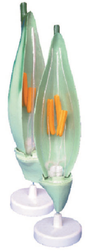 c60e342c-cf3f-4be1-99f0-384b08adc6bf.png