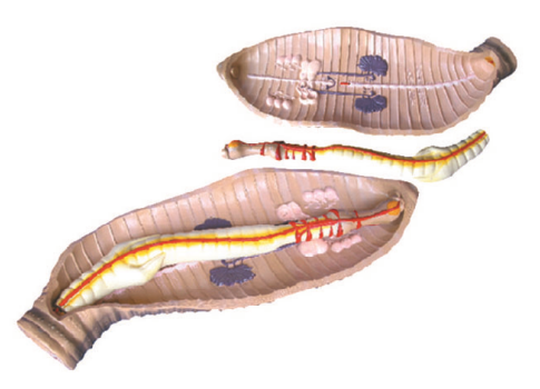 2f554b06-a1fa-44a4-903b-8d1a11c02f05.png