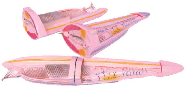 1f922e4d-42d7-4c48-8be9-f6efe2f3069d.png