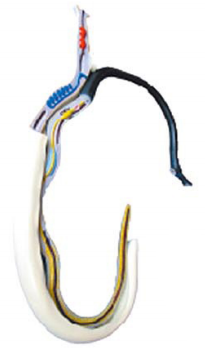 9196db43-59e2-46ff-a928-c97f8318254f.png