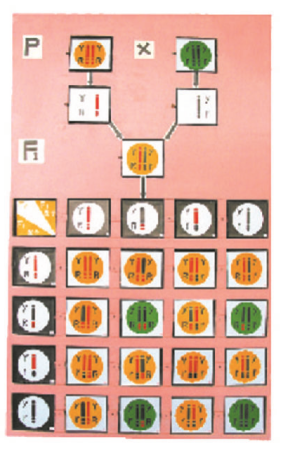 3ec6ecb2-1ce7-4464-b8c9-d789adb600e9.png
