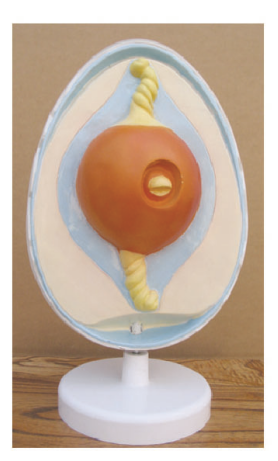 aebb8d23-aa95-450a-8547-1e1a3dae69a8.png