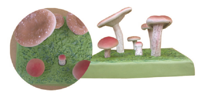 8c8710ec-658b-45f3-958e-20fc76b4b375.png