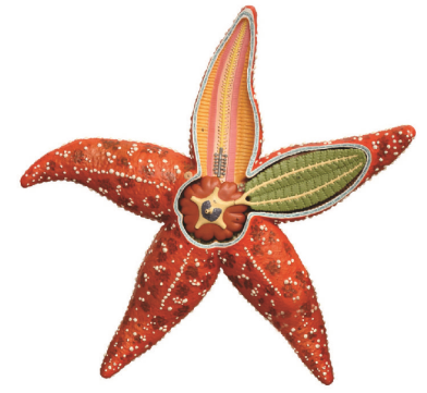 e76dce6e-66f5-40e8-bd58-da04f50c957d.png