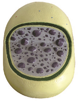 2843673e-1077-4cf2-9f2b-a5602047dfc5.png