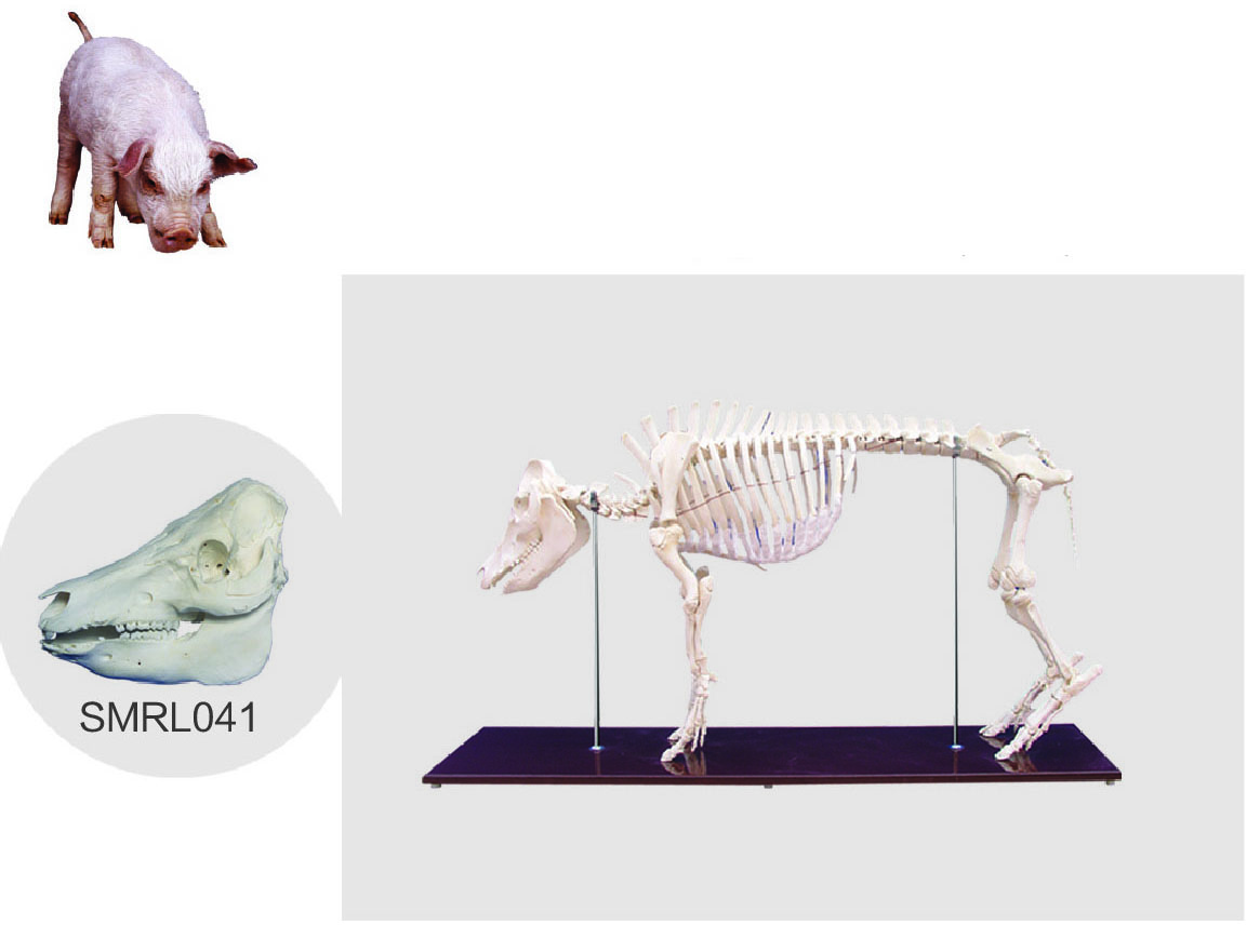 d3e78432f4dca891136f7e022e78412e.jpg