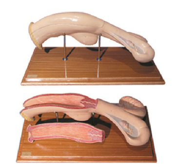 1651fd3d-9fe7-4280-b86a-3aa039d35149.png