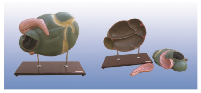 cf65a5ad-1f36-4adc-abef-165b62803635.png
