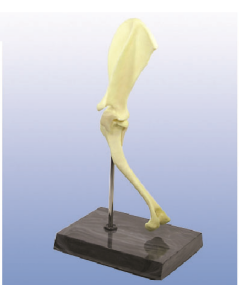 a87f9839-193a-4615-b24e-3cbdc160919f.png