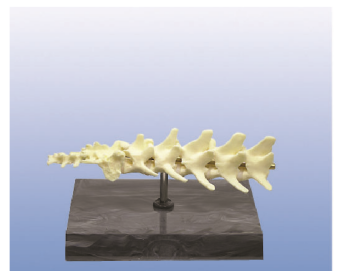 576a3d4f-0db7-4890-811e-7da4f927d341.png