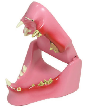 c2d238da-c53a-4c97-93d2-452672bc810f.png